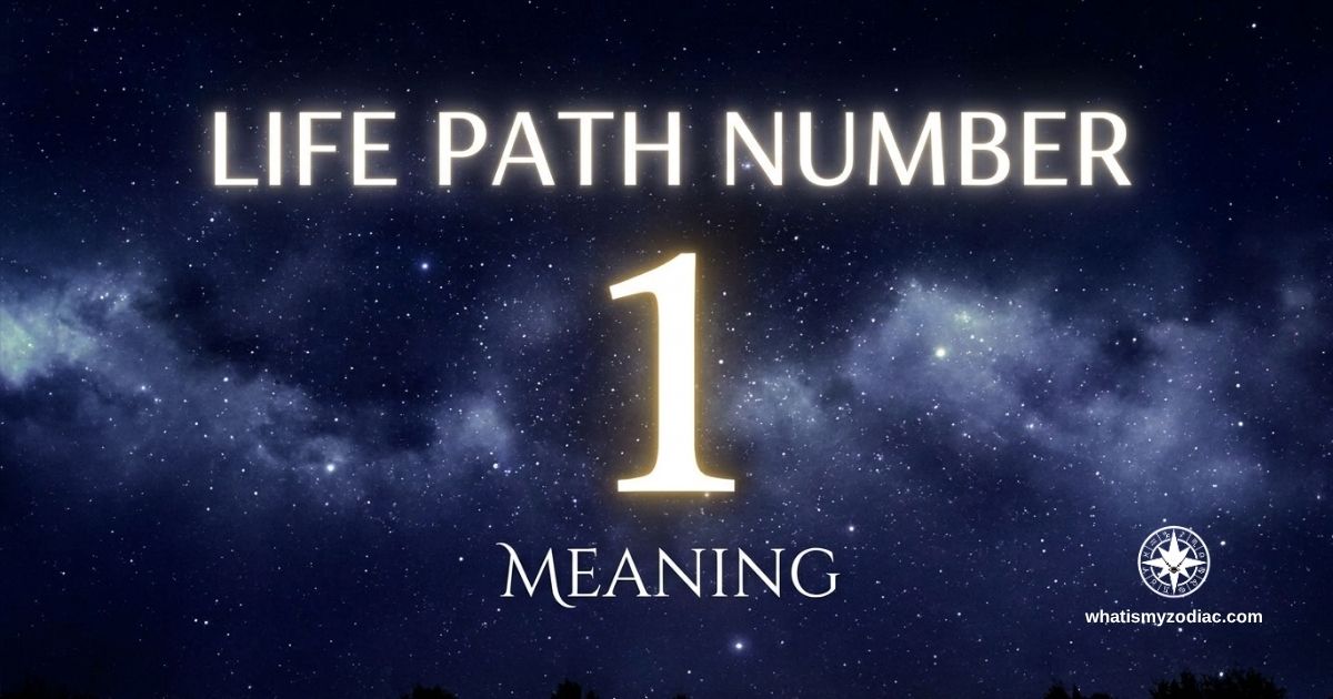 Life Path Number 1 Meaning