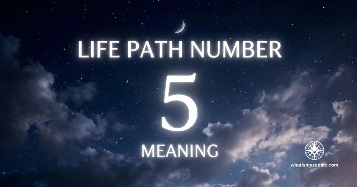 Life Path Number 5 Meaning