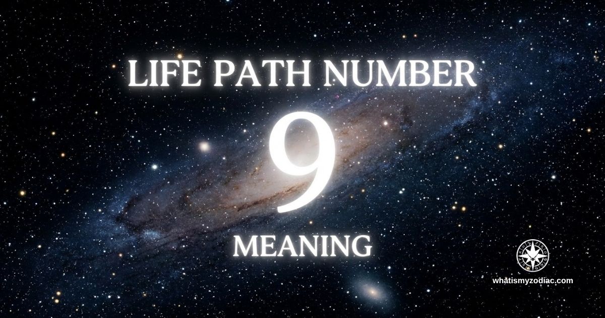 Life Path Number 9 Meaning